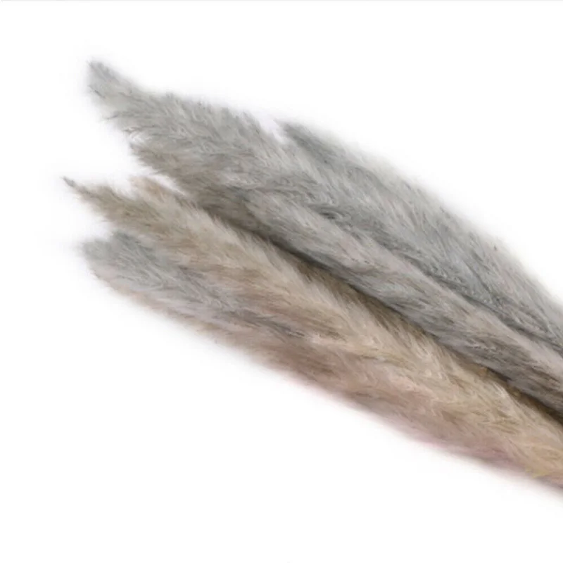 15 шт. сушеные маленькие пампасы трава Phragmites украшения для дома, отеля, свадьбы Лидер продаж - Цвет: brown