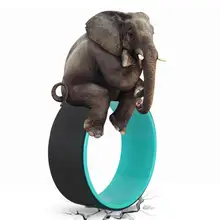 Йога Пилатес круг Талия Бодибилдинг Пилатес Тренажерный Зал Тренировка спина тренировка колесо кольцо сильный Ролик назад носилки баланс доступа