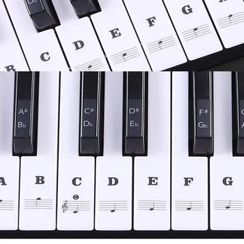 

Hot Transparent Piano Keyboard Sticker 54/61 Key Electronic Keyboard Piano Sticker 88 Key Piano Stave Note Sticker for White Key