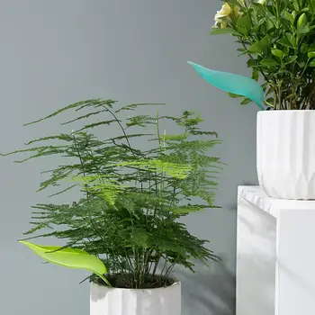 

6Pcs Potted Plants Watering Diversion Leaf Shaped Splashproof Irrigation Tool