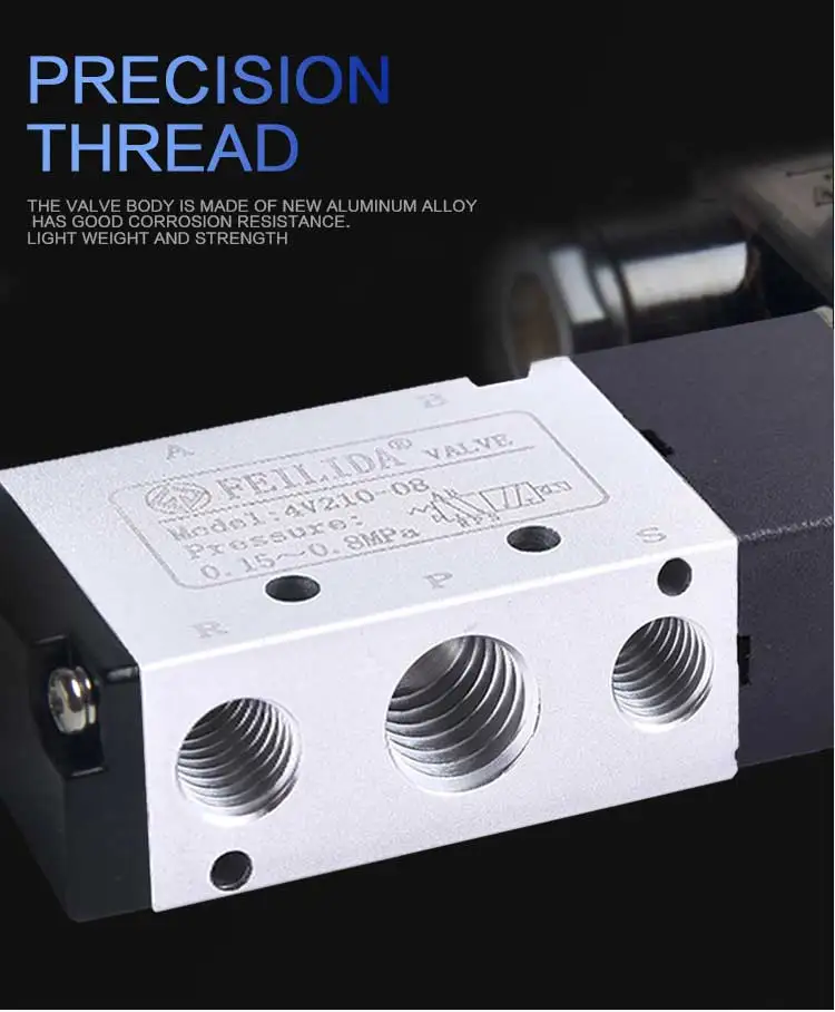 任侃侃小泰迪_08