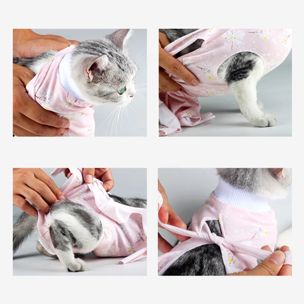 помпон после стерилизации. бандаж для кошки. одежда для кошек после операции. помпон после стерилизации. как надеть попону кошке после стерилизации.