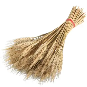 

100Pcs/lot Real Wheat Ear Flower Natural Dried Flowers For Wedding Party Decoration DIY Craft Scrapbook Home Decor Wheat Bouquet