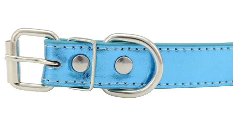 dog collar leather