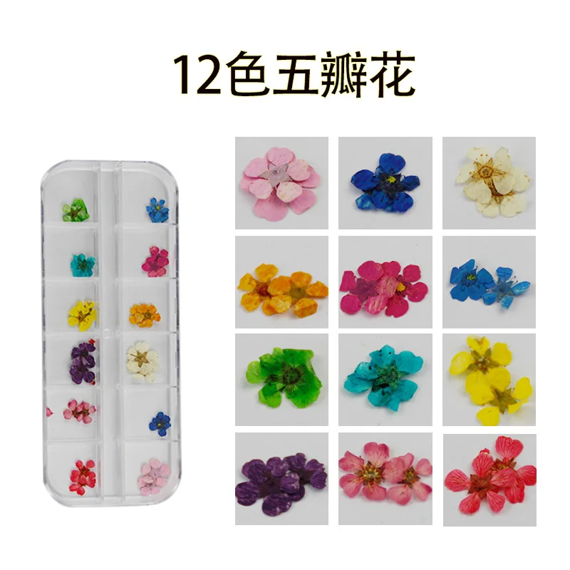 3 five-petal flower Набор для дизайна ногтей гербарий DIY, Креативные аксессуары для ногтей, 12 цветов, цветок солнца, кружева, пять лепестков, цветок, декоративные гвозди, наклейки - Цвет: 3 five-petal flower