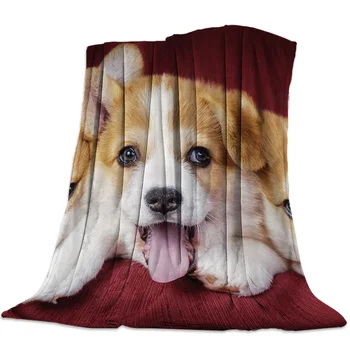 

Three Little Dogs On The Red Blanket Coral Fleece Fuzzy Blankets on Bed Throws Bedsheet for Kids Girls
