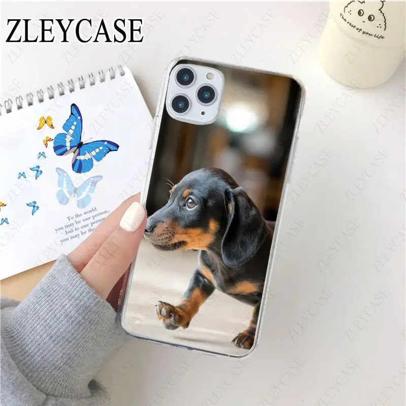 black Dachshund Doberman Dog face