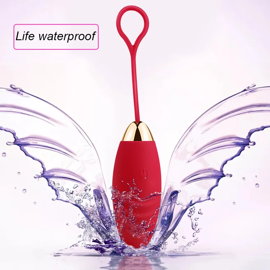  HWOK Wireless Remote Control Vibrating Vaginal Ball Wearable Panties G- Spot Silicone Dildo Vibrato