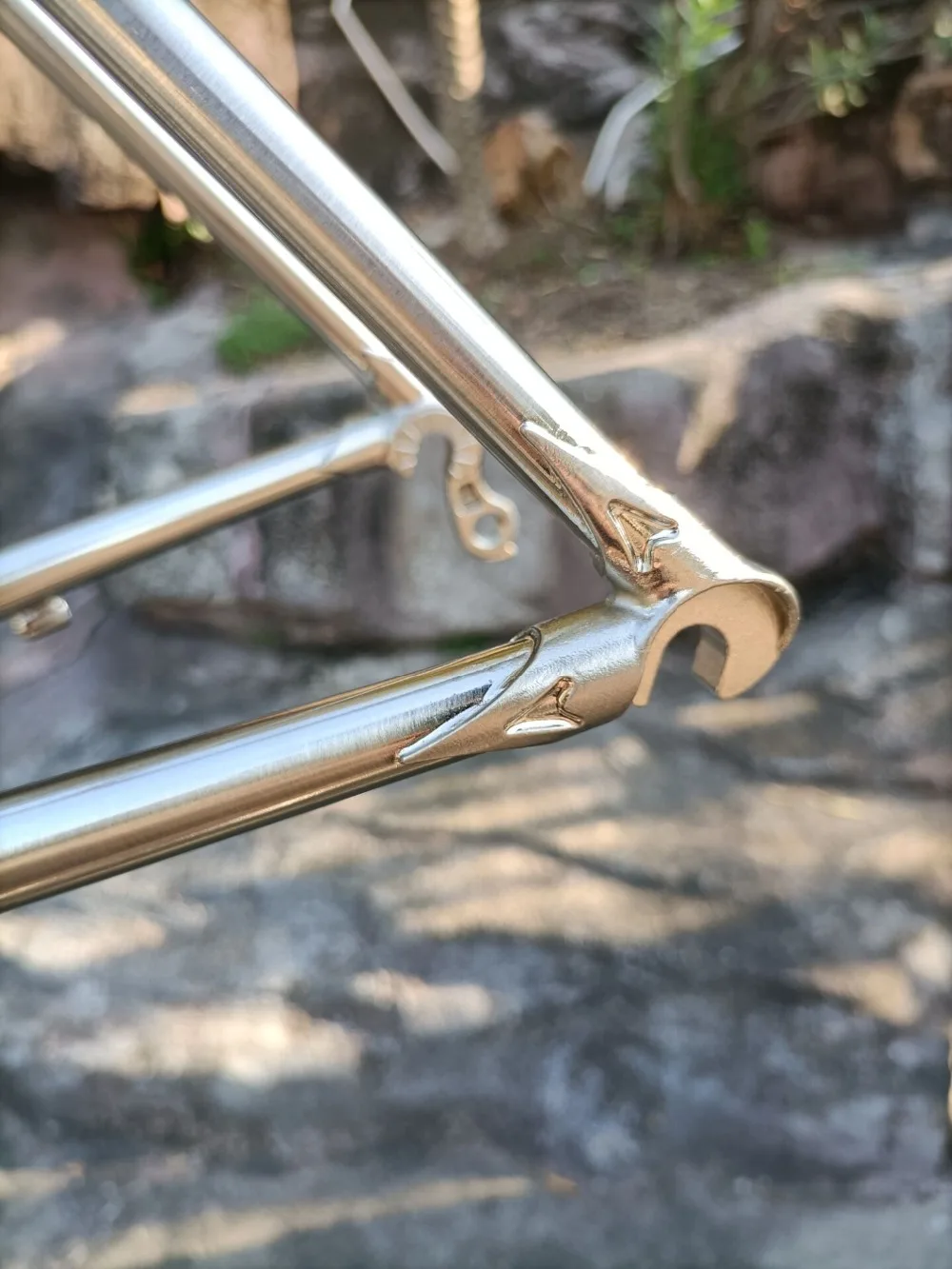 D831BE0124914AA1CB8C95F6DBD33BEC