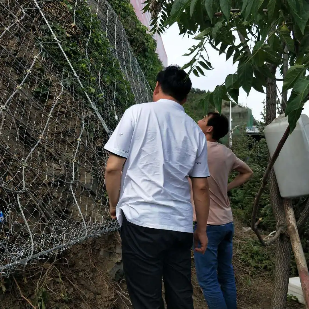 

Manufacturers Direct Selling SNS Active Protective Mesh Slope Protection Protective Mesh Flexible Steel Wire Nets Protective Mes