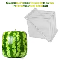 Watermelon Shaping Mold Square Eco-friendly No Deformation Creative Plastic Heart Shape Transparent Shaping Mold for Fruit 2