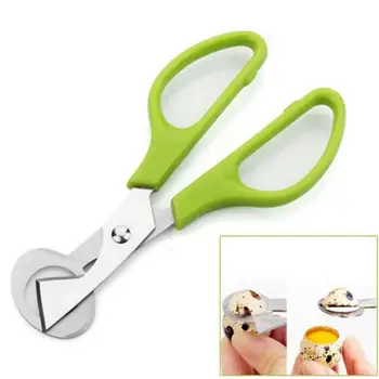 

Quail Egg Scissor Stainless Steel Cut Whisk Egg Apparatus Pigeon Egg Scissor Bird Opener Clipper Eggshell Cutter Kitchen Tool