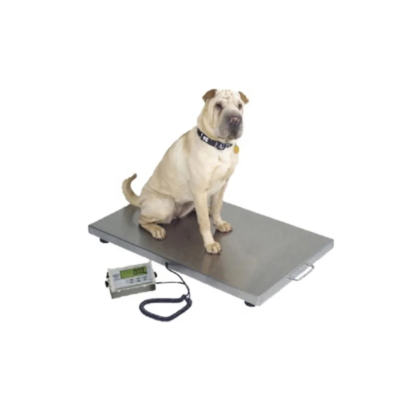 

WOS-4824 Electronic Weighing Scales Walk on Scale for Large Pets Vet Hospital Equipment