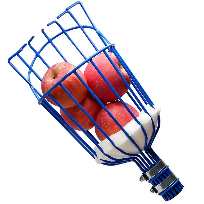 

Fruit Picker Basket Twists Into Standard US Threaded Extension Pole Fruit Harvester Attachment