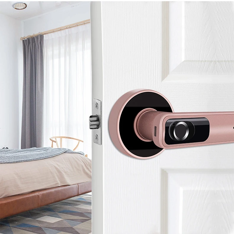 

Fingerprint Door Lock Electric Fingerprint Lock with Mechanical Key for Indoor Home Access Control(Single Tongue Right)