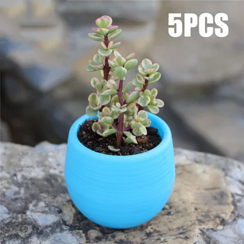 

5pcs Mini Round Succulent Pot Small Flower Plant Planter Home Office Decor