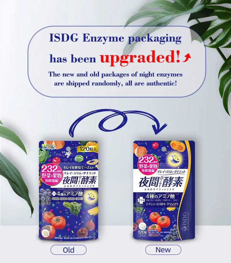 Ночной фермент ISDG пищевые добавки продукты для снижения веса основные