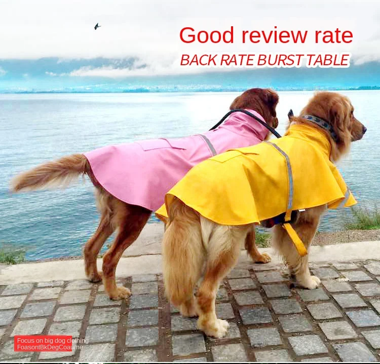 Hf67be86197fd4079a050108fda2c23cei