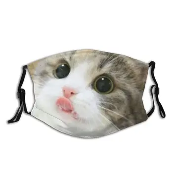 

Dust Mask With Filter PM 2.5, Cute Cat Mouth Cover Reusable Protection Dust Washable Masks