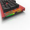 Mouse & Keyboards