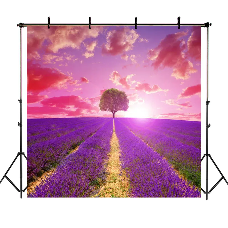 

Valentine's Day Backdrop Purple Lavender Garden Photography Backdrops Red Clouds Wedding Photo Props Studio Booth Background