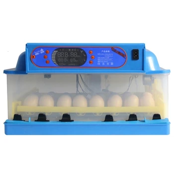 

Multiple functions Egg Incubator China Automatic Watering Incubadora Couveuse Thermostat for Transparent 12V/220V