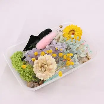 

1 Box Real Mix Dried Flowers for Resin Jewellery Dry Plants Pressed Flower Making Craft DIY Accessories