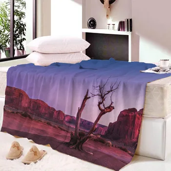 

Desert Cactus Printed Double Velvet Soft Blanket sherpa blanket Warm Home Sofa Wearable Fleece Watching Blanket Quilt