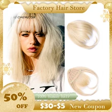 Ty.Hermenlisa False Bangs 1Pc Clip on Hair Extensions Natural Color Fake Fringe Hair Clip Fake Hair Clearance Price Hairpiece