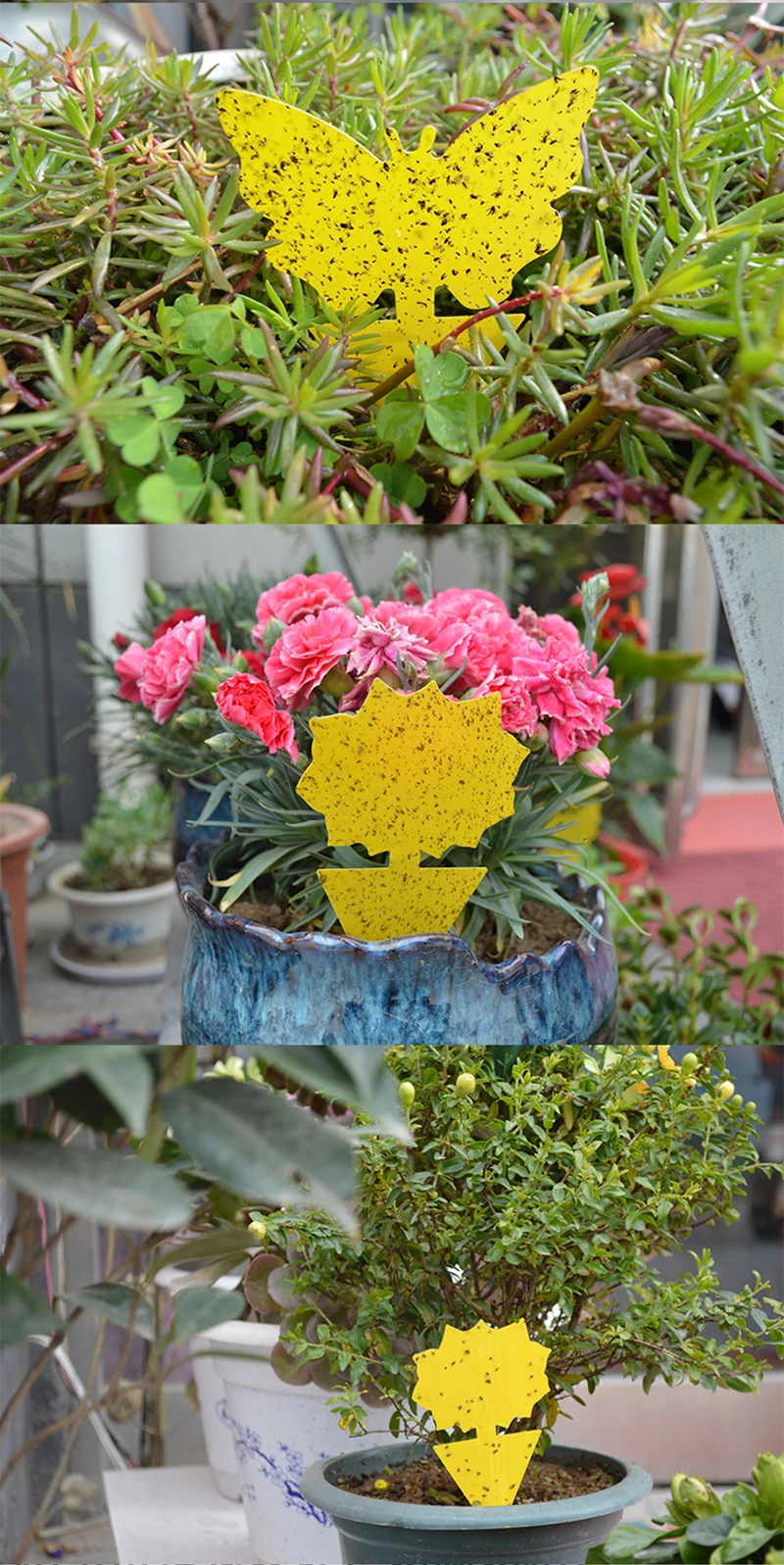 14470345852_1002151063