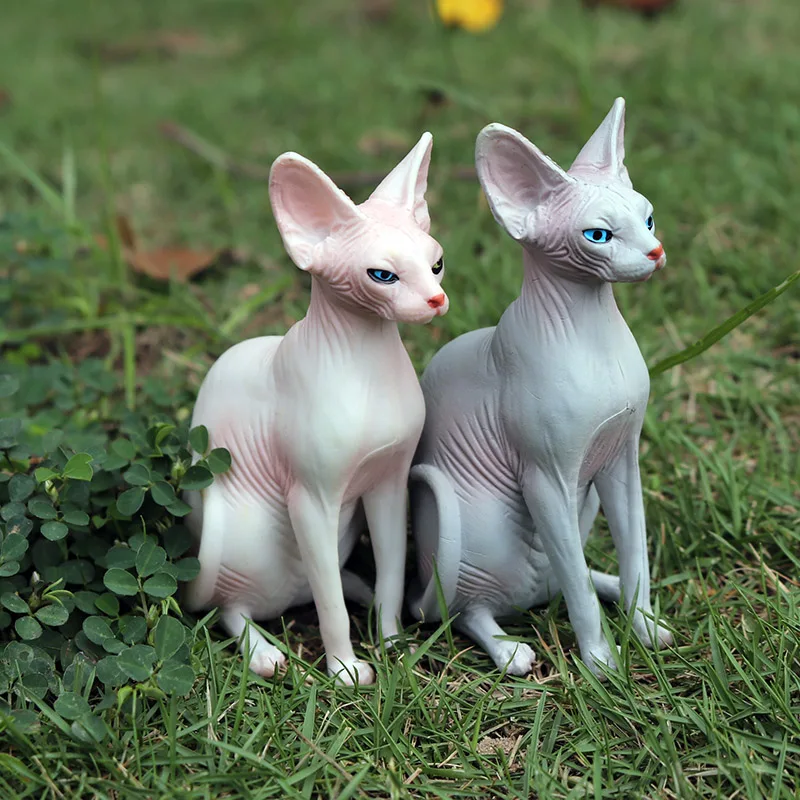 de ação para brinquedo educacional para gatos adolescentes