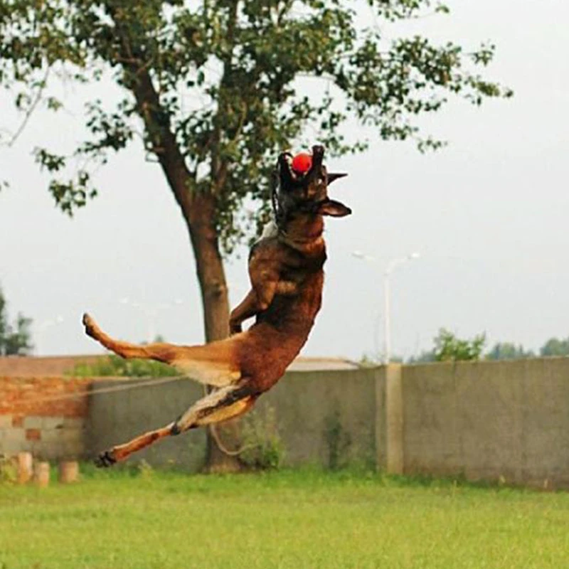 Indestructible Dog Ball on a Rope Pet Puppy Tug Balls Toys Pet Chew Toys Dog Training Toy Solid Rubber Balls