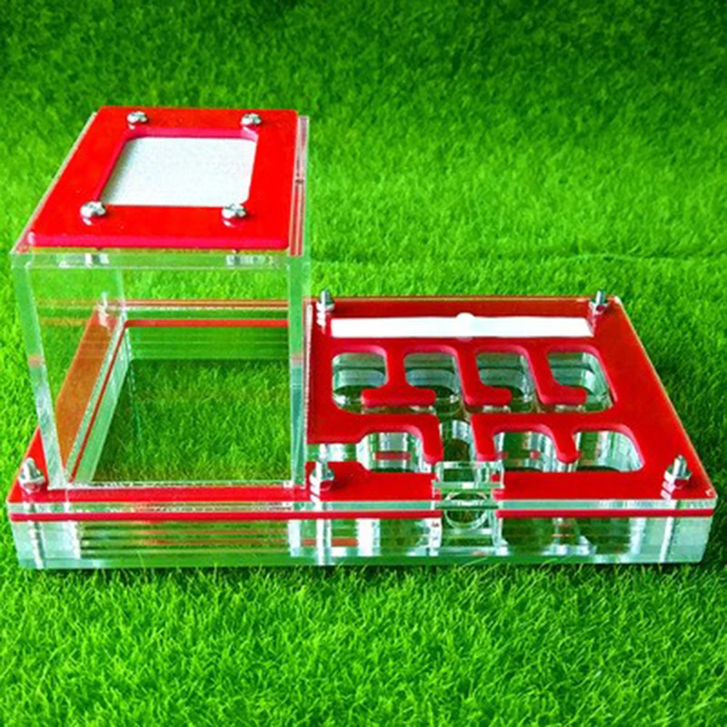 Red Ant Nest Living Pet Villa Workshop Acrylic Popular Science Teaching Unique Gifts | Дом и сад