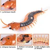 Funny Electronic Pet Remote Control Simulation Giant IR RC Scolopendra Centipede April Fools' Day Tricky Prank Insect Toy Gift 5
