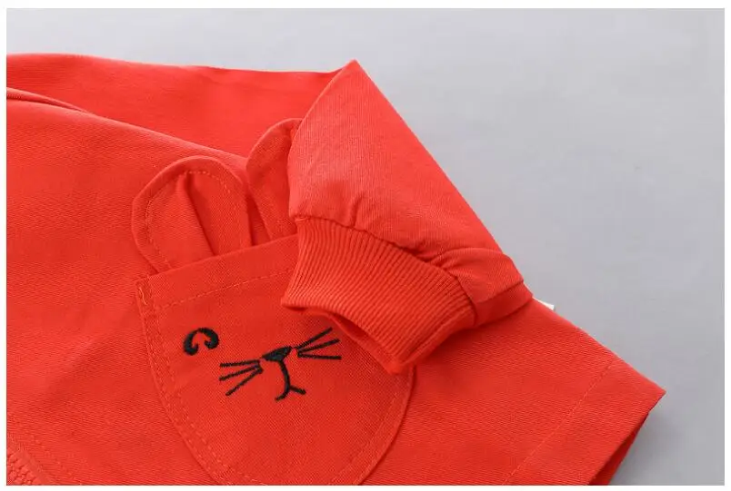 Autumn Baby Boys Clothing Sets Toddler Infant Clothes Suits Cartoon Coat T Shirt Pants Children Kids Costume Suit
