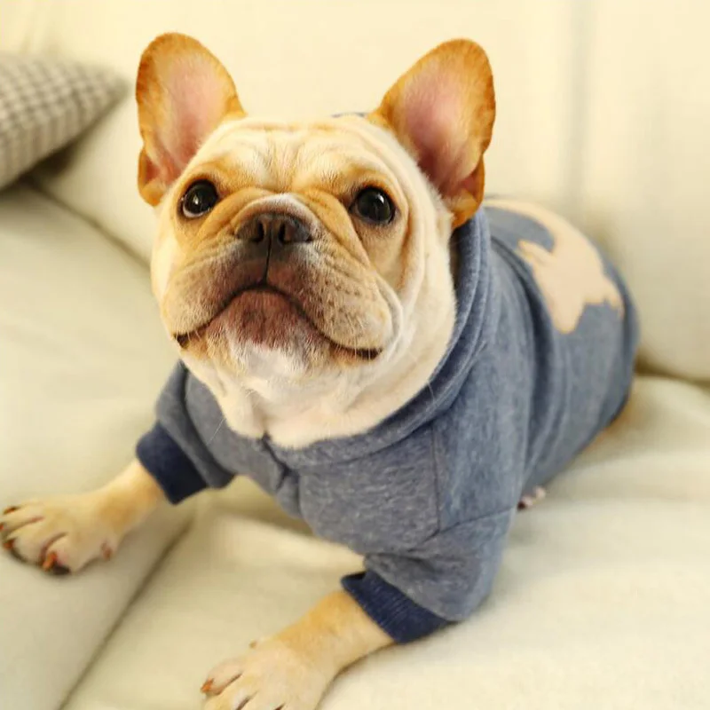 Petcircle/модные толстовки для собак; теплая одежда для собак на осень и зиму; хлопковая куртка; Одежда для маленьких и средних французских бульдогов; одежда для домашних животных; S-XXL