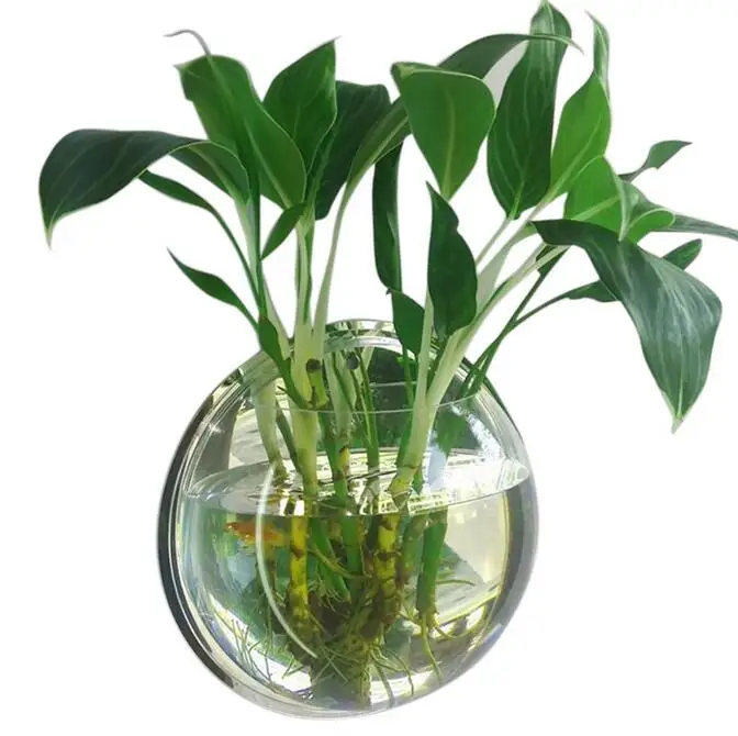 Gallon Pots For Plants GREENWISH Wall-Mounted Fish Bowl (2-Pack