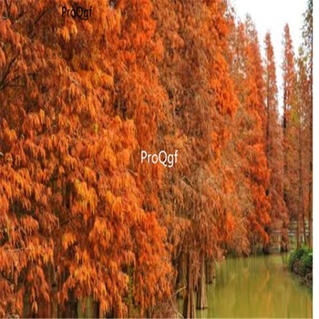 

Ngryise 1000Pcs A Set