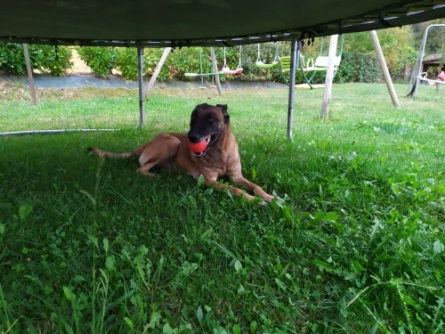 Ubc79181ab8c44b15a5ff8c02679711631