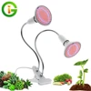 LED Grow Light Full Spectrum with E27 Lamp Holder Clip-on Phyto Lamps 72LEDs 200LEDs 290LEDs for Indoor Plants Flowers Growth ► Photo 1/6