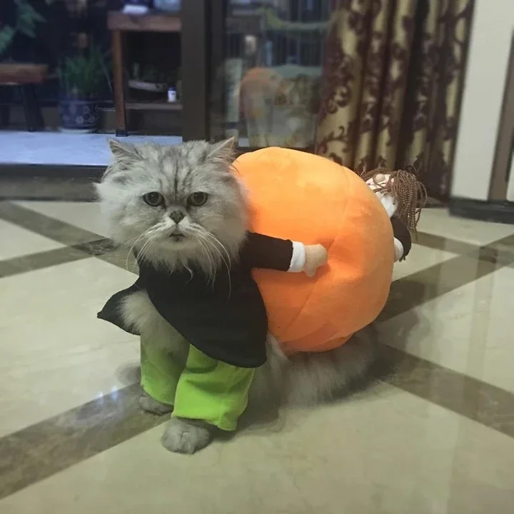 Funny Cosplay Pet Costume Pumpkin Suit for Cats Halloween Christmas Clothes for Dogs Party Dressing Up Dog Clothing Cat Apparel