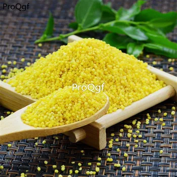 

Ngryise 8000Pcs A Set Grain Millet