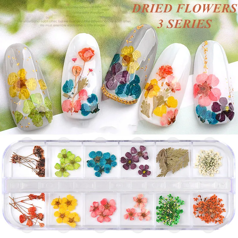 

GIRL2GIRL NEW DRIED FLOWERS 12 COLORS BABYSBREATH SUN FLOWER DECORATE NAIL DRIEDFLOWERS