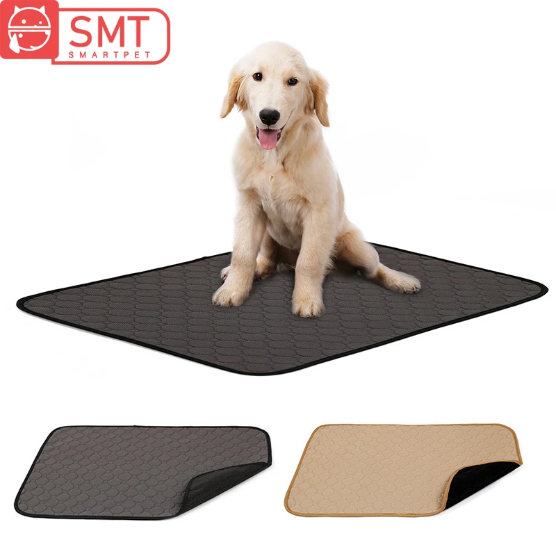 reusable puppy diapers