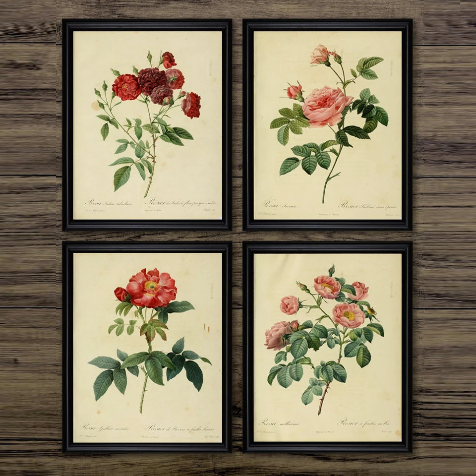 Vintage Botanical Wall Art Free Global Delivery