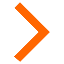 Head 2 Icon