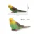 Simulation Bird Models Budgerigar Cockatoo Macaw Parrot Simulated Birds Action Figures PVC Figurine Toys For Kids Education Gift bumblebee transformer toy Action & Toy Figures