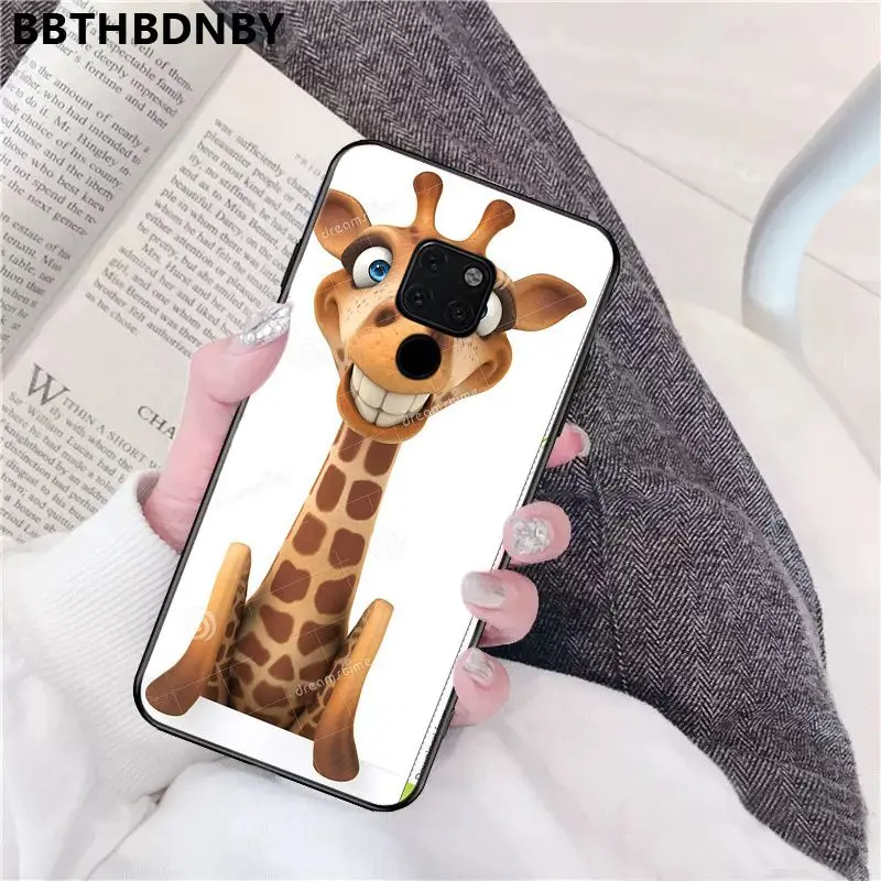 Giraffe cute