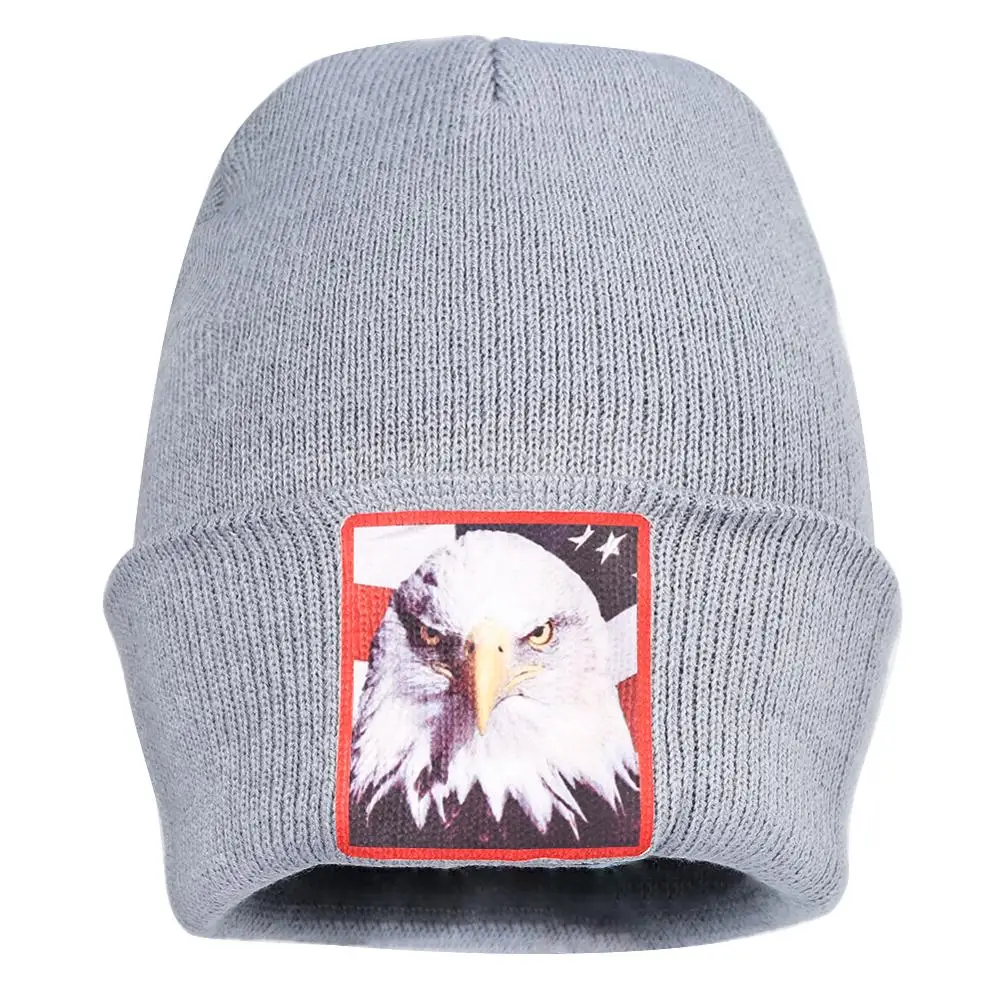 

Gray Sea Eagle Knitted Hat American Flag Hawk Logo Good Elastic Simple Korean Style Melon Cap Fur Pompom Hats Thick Warm Solid