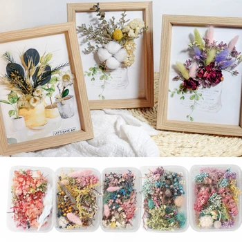 

DIY1 Box Real Dried Flower Dry Plants For Aromatherapy Candle Epoxy Resin Pendant Necklace Jewelry Making Craft Accessories